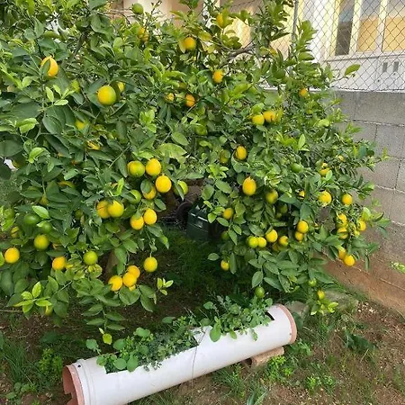 Modern Tome With Terrace, Free Parking & Wi-fi, * Zadar